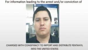 Él era el "Panu", operador de Los Chapitos asesinado en Zona Rosa