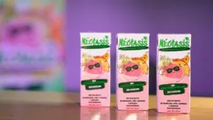 Néctasis: la nueva bebida de Pascual que honra su origen y conecta con las nuevas generaciones
