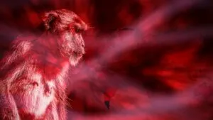 Emiten advertencia tras identificar una nueva cepa de mpox, antes viruela del mono, en Inglaterra