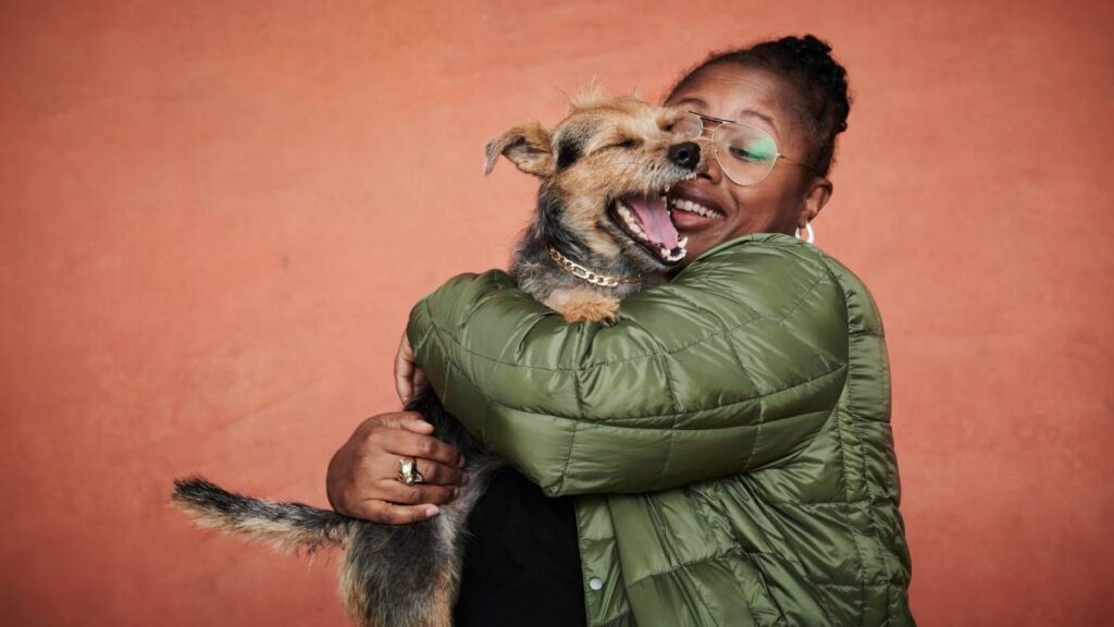 Formas para que un perro o gato sean felices cuando sus humanos no están en casa