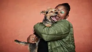 Formas para que un perro o gato sean felices cuando sus humanos no están en casa