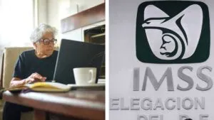 Cuando terminen las pensiones de la Ley 73, así será el sistema del IMSS