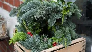 Las 7 plantas naturales que eligen las floristas para lograr una casa espectacular esta Navidad 