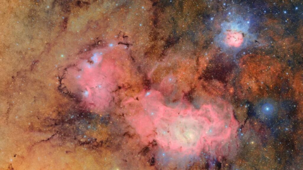 Como obras de arte: las mejores imágenes científicas de 2025, según Nature