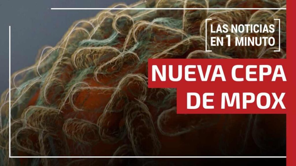 Noticias de hoy 8 de diciembre de 2025, en un minuto, hasta las 19:00 horas