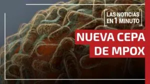 Noticias de hoy 8 de diciembre de 2025, en un minuto, hasta las 19:00 horas