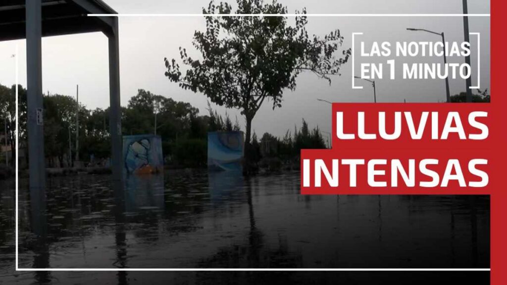 Noticias de hoy 30 de diciembre de 2025, en un minuto, hasta las 19:00 horas