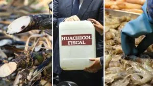 Evasión fiscal y contrabando en México pegan a cañeros y pescadores