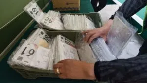 Reemplacamiento en Yucatán: a quién le toca en diciembre, requisitos y costos