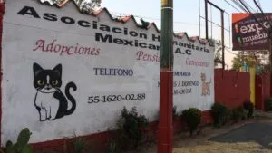 Juez frena desalojo y ordena devolver el Refugio Franciscano tras conflicto legal