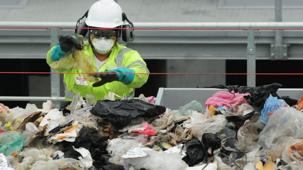 separacion-de-basura-en-cdmx-como-hacerlo-bien-desde-el-1-de-enero