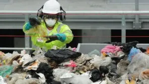 Separación de basura en CDMX: cómo hacerlo bien desde el 1 de enero