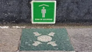 Sin daños, Oaxaca, tras sismo de magnitud 5.2 con epicentro en La Crucecita