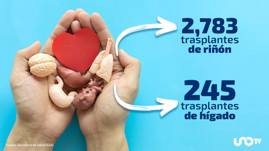Trasplantes de riñón, hígado, corazón y pulmón en México