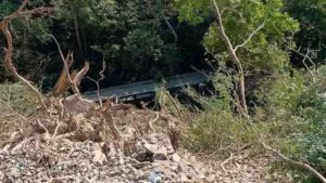 Lo último: Descarrilamiento de Tren Interoceánico deja 13 fallecidos y 98 lesionados; FGR investiga