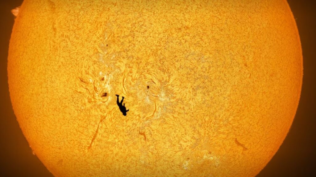 Como obras de arte: las mejores imágenes científicas de 2025, según Nature