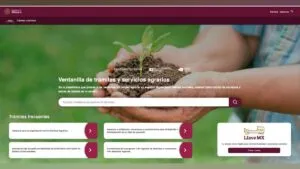 Digitalizan Ventanilla de Servicios Agrarios para facilitar trámites en todo el país