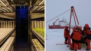 China sorprende con una granja inteligente que produce verduras frescas en alta mar