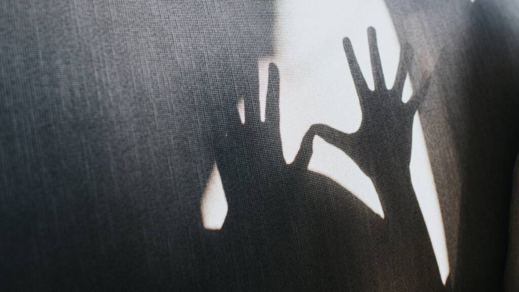 Checa qué entidades concentran más denuncias por abuso sexual.