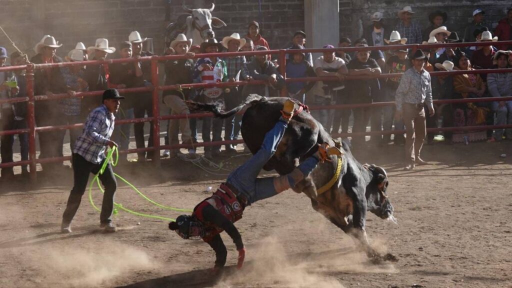 Jinete fue gravemente herido