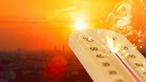 2025 fue el tercer año más cálido jamás registrado, advierte Copernicus