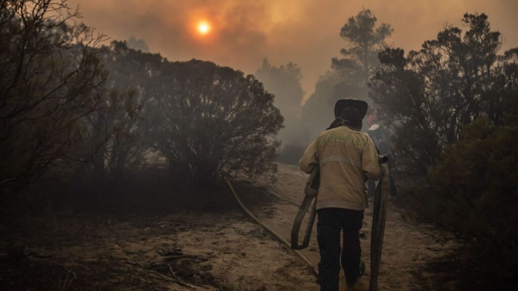 Aumentan los incendios forestales durante el 2025; checa los estados con más casos