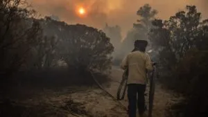 Aumentan los incendios forestales durante el 2025; checa los estados con más casos