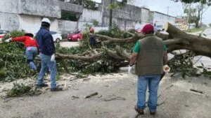Hay alerta en Veracruz: inundaciones, apagones y suspensión de clases en 26 municipios
