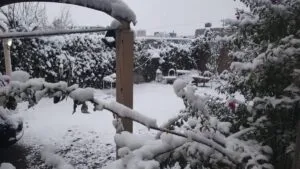 Mantienen vigilancia especial por tormenta invernal; prevén afectaciones severas en 5 estados