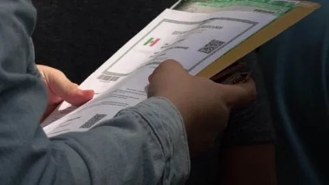 CURP biométrica sería obligatoria para trámites a partir de febrero