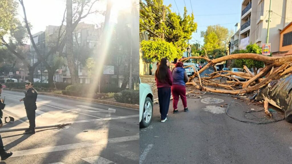 Daños en CDMX tras sismo