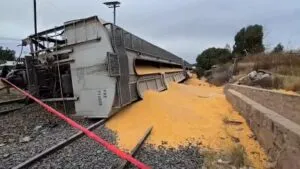 Descarrilan 9 vagones de tren cargado de maíz en Zacatecas; no se reportan personas lesionadas