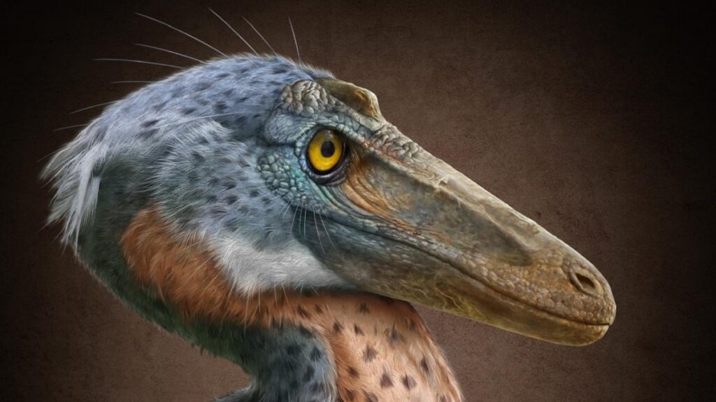 Descubren nuevo dinosaurio carnívoro en Coahuila: el Xenovenator espinosai