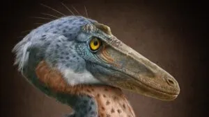 Descubren nuevo dinosaurio carnívoro en Coahuila: el Xenovenator espinosai