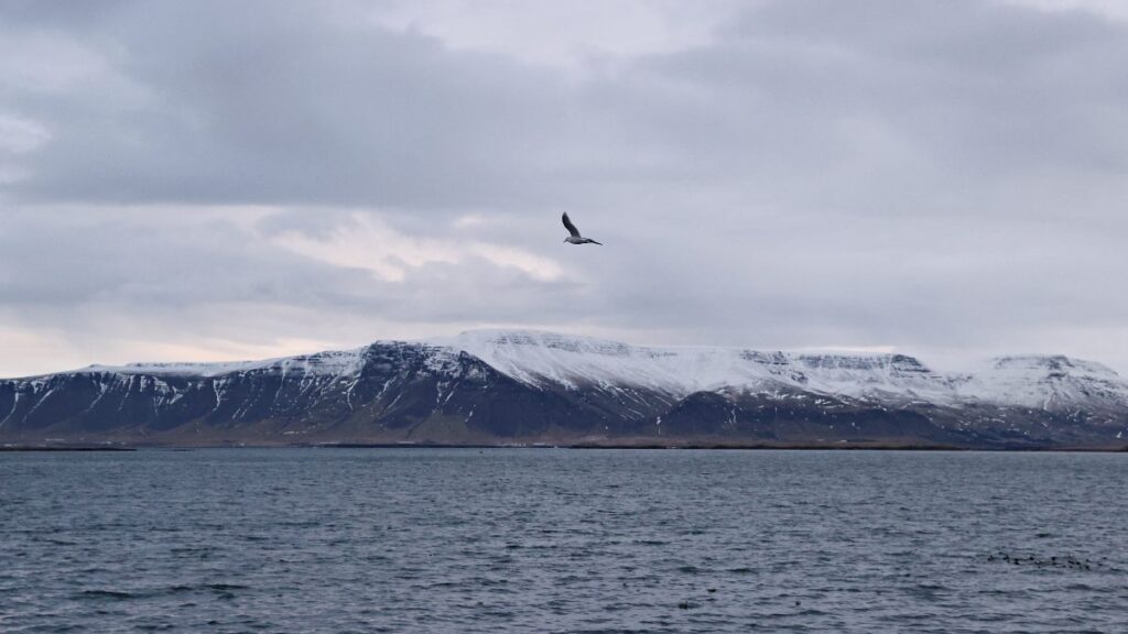 Estrecho GIUK, el espacio marítimo que EE.UU. y otras superpotencias se disputan