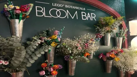 LEGO Botanicals le apuesta a la experiencia que deje recuerdos de cara al Día del Amor y la Amistad