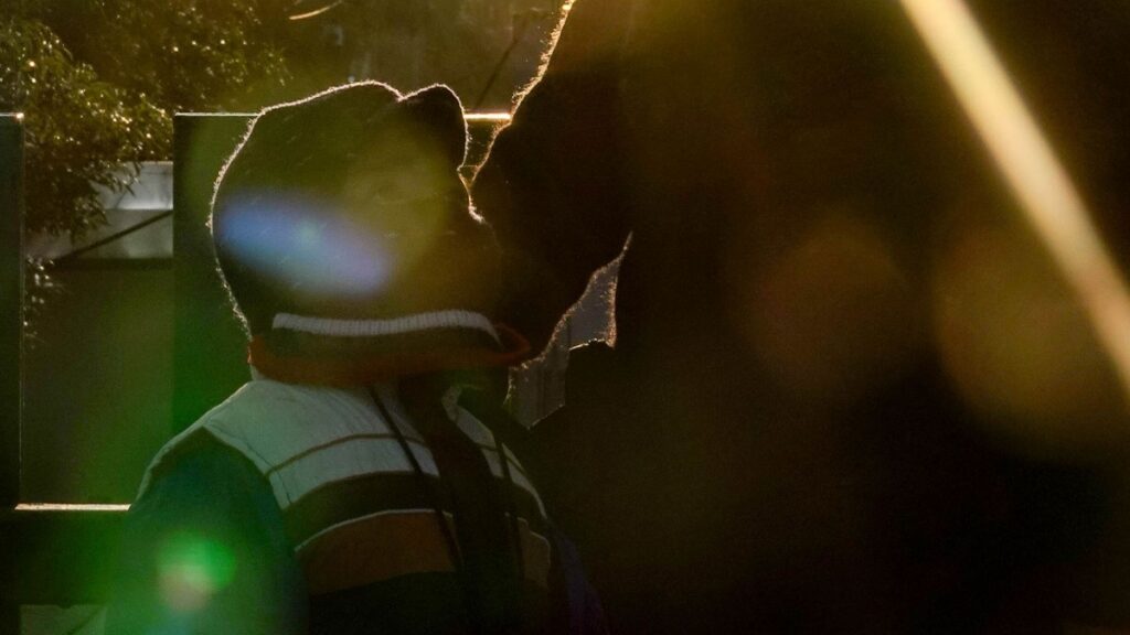 Experto explica cuándo acabará el frío extremo en México: noches seguirán heladas