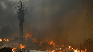 Alerta roja en Chile por incendios: al menos 19 muertos y más de 50 mil personas evacuadas