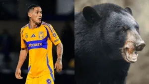 Familia de osos 'roba' mochila a Uriel Antuna: video muestra el momento