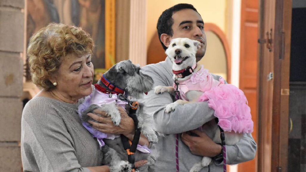 imagenes-que-enamoran-bendicen-a-mascotas-en-dia-de-san-antonio-de-padua