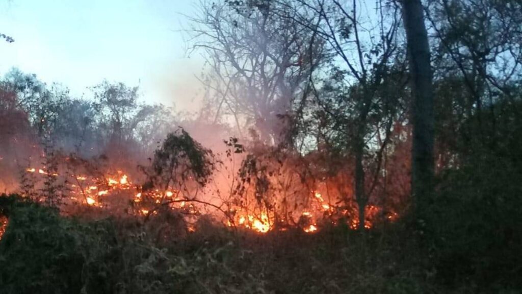 Incendios forestales en Tehuantepec.