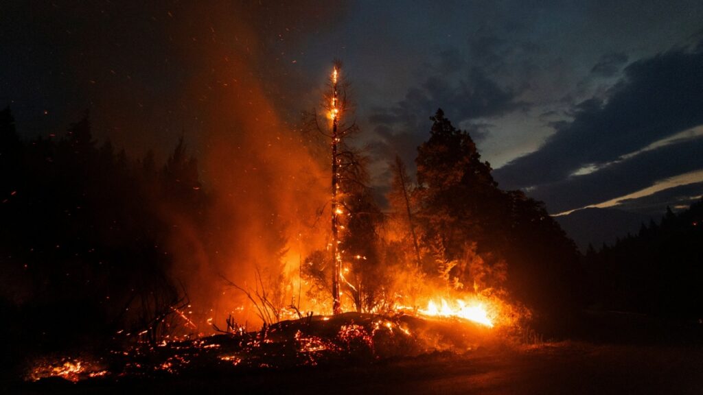 Incendios forestales en Argentina ya arrasaron con más de 15 mil hectáreas en la Patagonia