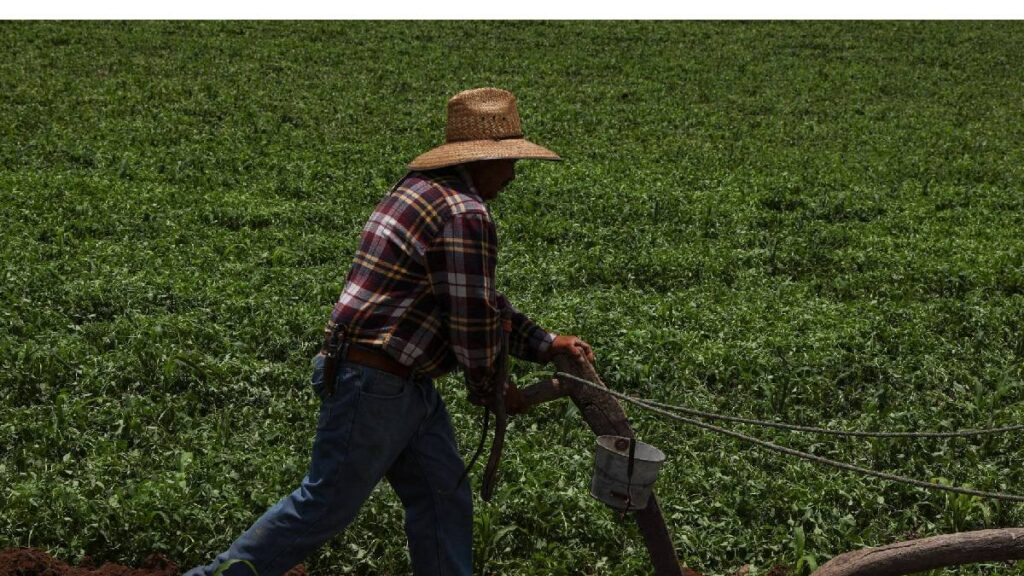 La informalidad laboral en México continúa en aumento y se mantiene como un problema estructural, a pesar de los esfuerzos por fomentar el empleo formal.