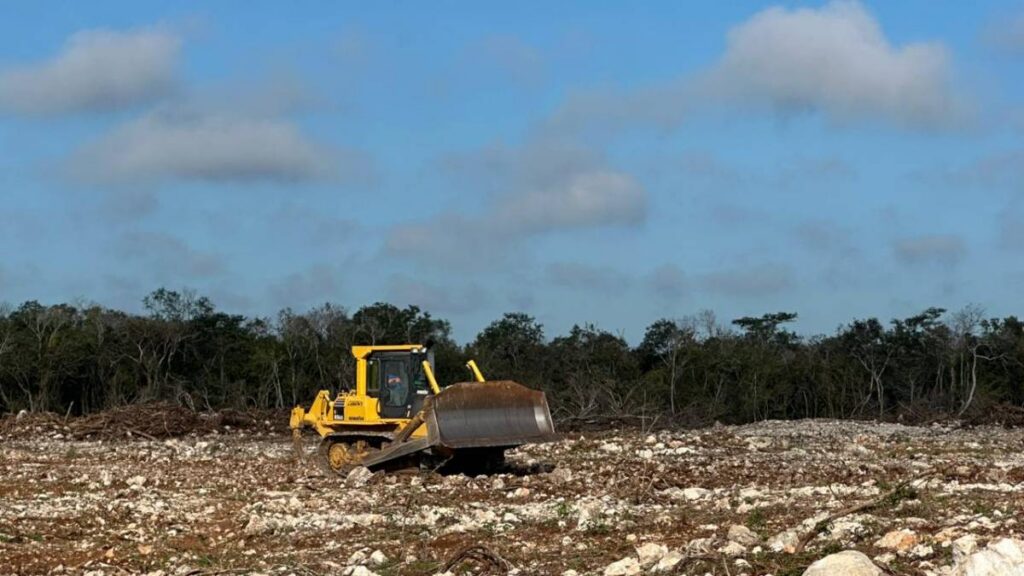 Denuncian deforestación y daños en Kinchil.