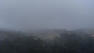 CDMX con cielo nublado, brumoso y lluvias para este jueves 22 de enero