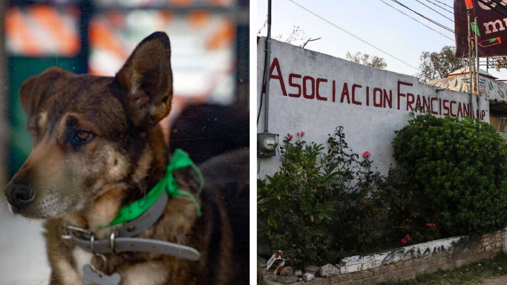 Ordenan devolver predio a Refugio Franciscano