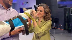 Cachorros de la Guardia Nacional dan apoyo emocional en el AIFA; visitaron Uno TV