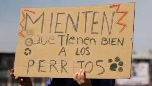 Cierran vialidades y acusan trato indigno a perros del refugio Franciscano en deportivo de la GAM