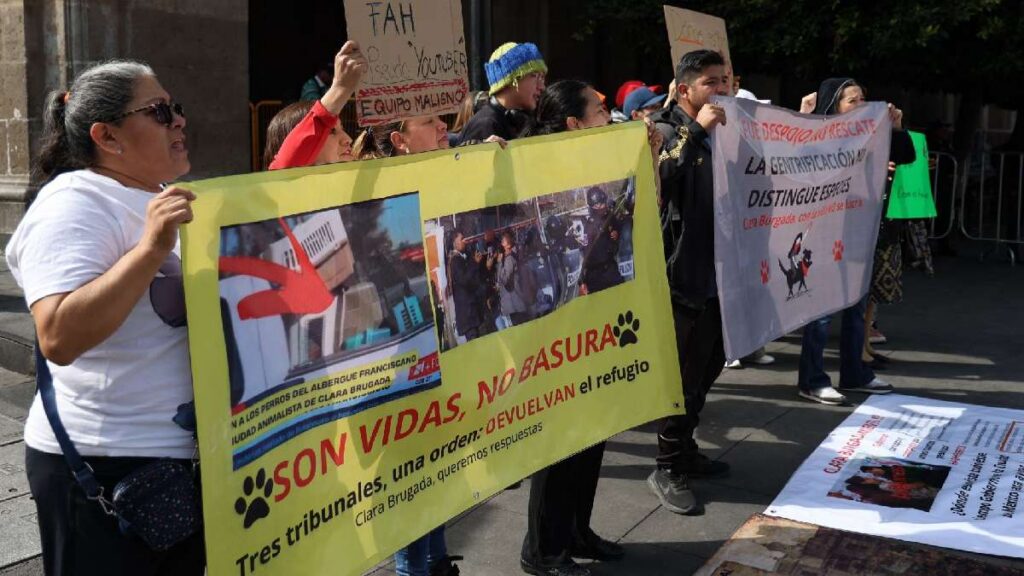 Protestas por Refugio Franciscano, entre las principales de este 14 de enero en CDMX