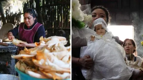 Día de la Candelaria: ¿por qué se comen tamales el 2 de febrero en México?